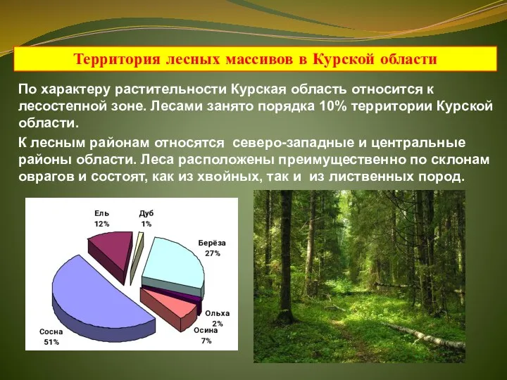 По характеру растительности Курская область относится к лесостепной зоне. Лесами