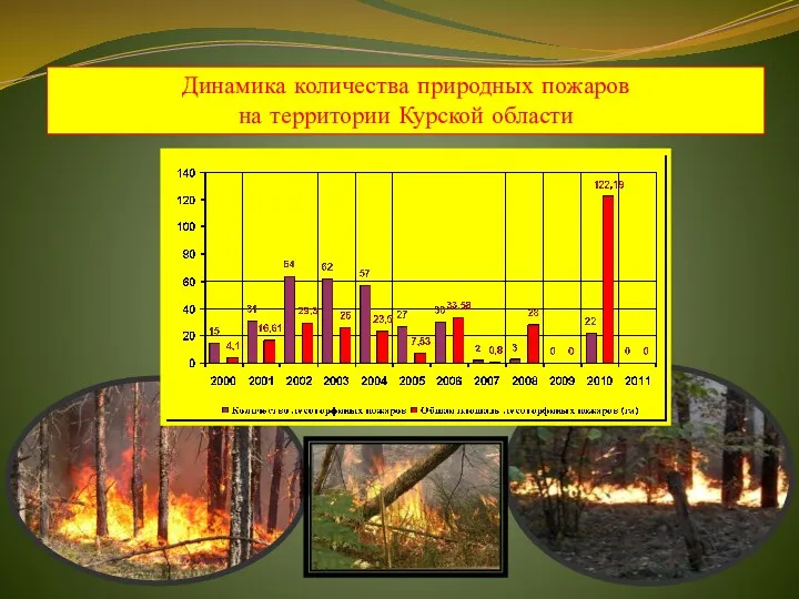 Динамика количества природных пожаров на территории Курской области