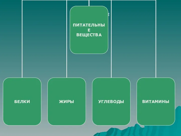 ПИТАТЕЛЬНЫЕ ВЕЩЕСТВА