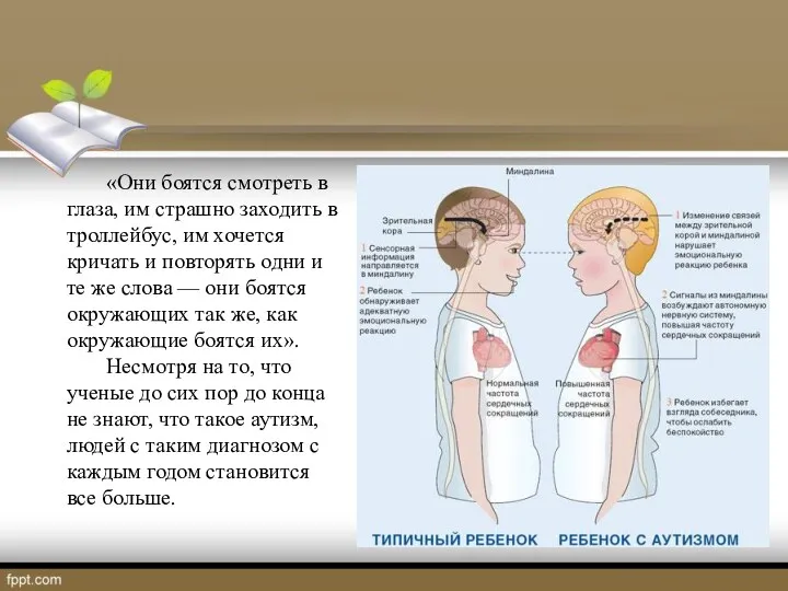 «Они боятся смотреть в глаза, им страшно заходить в троллейбус,