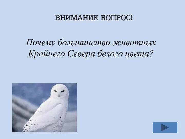 ВНИМАНИЕ ВОПРОС! Почему большинство животных Крайнего Севера белого цвета? Животное