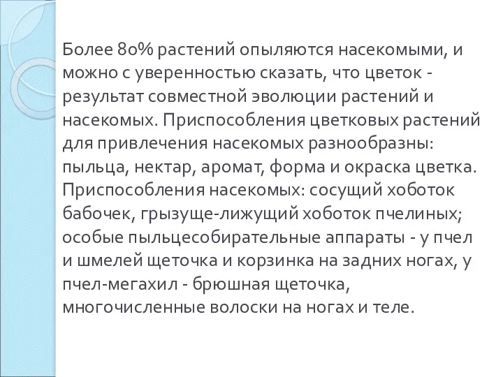 Более 80% растений опыляются насекомыми, и можно с уверенностью сказать,