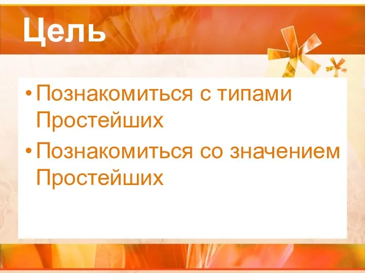 Цель Познакомиться с типами Простейших Познакомиться со значением Простейших