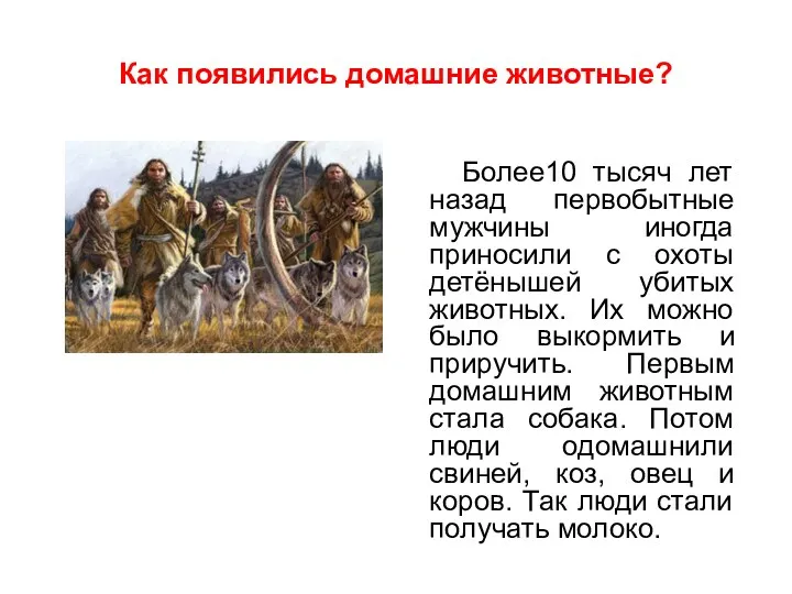 Как появились домашние животные? Более10 тысяч лет назад первобытные мужчины