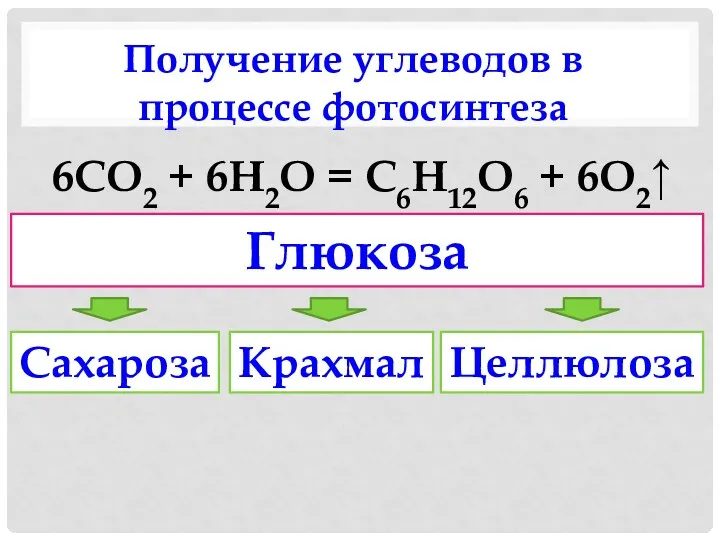 Получение углеводов в процессе фотосинтеза 6CO2 + 6Н2O = C6H12O6 + 6O2↑ Глюкоза Сахароза Крахмал Целлюлоза
