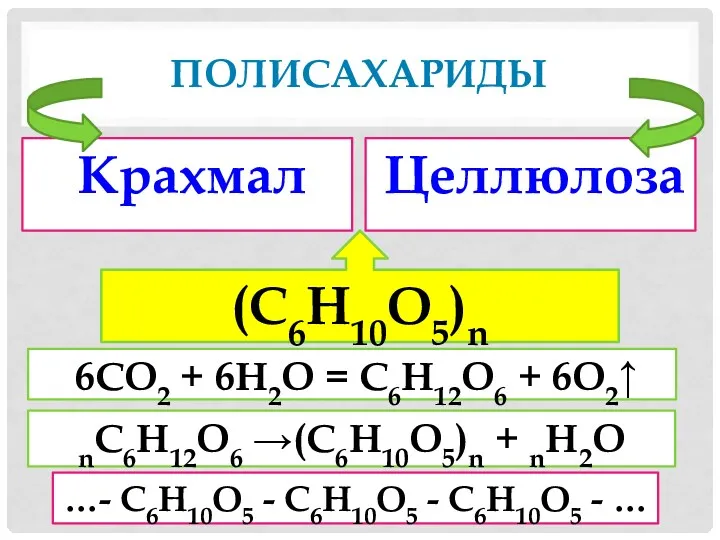 полисахариды Крахмал Целлюлоза (С6Н10О5)n 6CO2 + 6Н2O = C6H12O6 + 6O2↑ nС6Н12О6 →(С6Н10О5)n