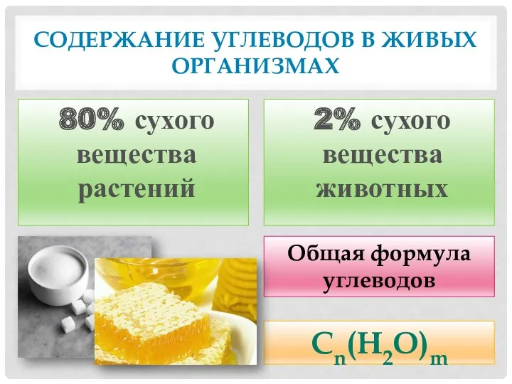 Содержание углеводов в живых организмах 80% сухого вещества растений 2% сухого вещества животных