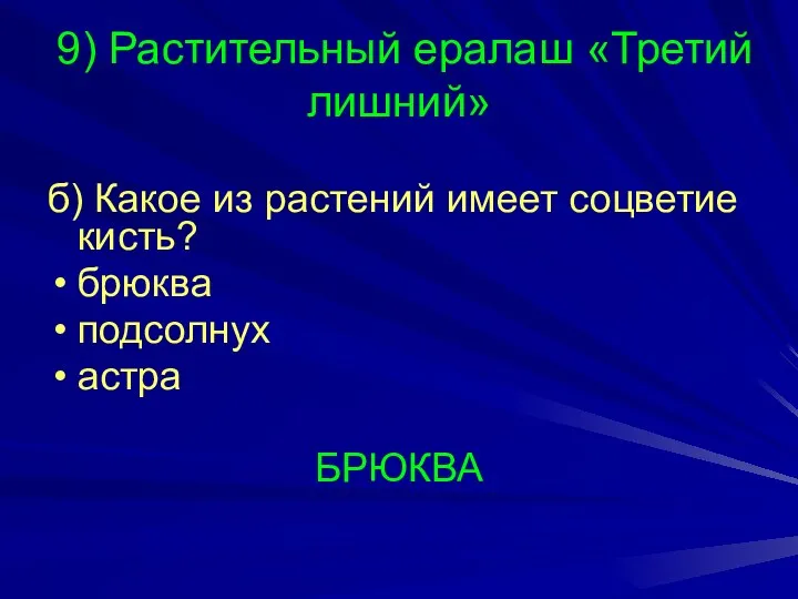 9) Растительный ералаш «Третий лишний» б) Какое из растений имеет соцветие кисть? брюква подсолнух астра БРЮКВА