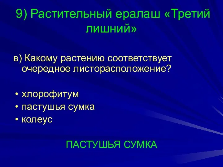 9) Растительный ералаш «Третий лишний» в) Какому растению соответствует очередное