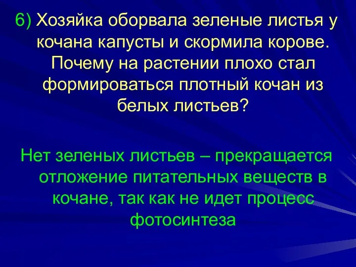 6) Хозяйка оборвала зеленые листья у кочана капусты и скормила