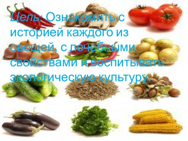 Цель: Ознакомить с историей каждого из овощей, с лечебными свойствами и воспитывать экологическую культуру.