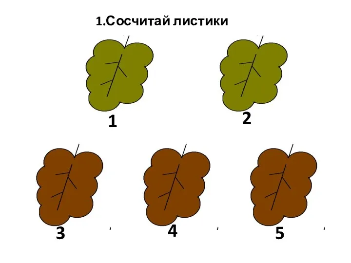 1.Сосчитай листики 1 2 3 4 5