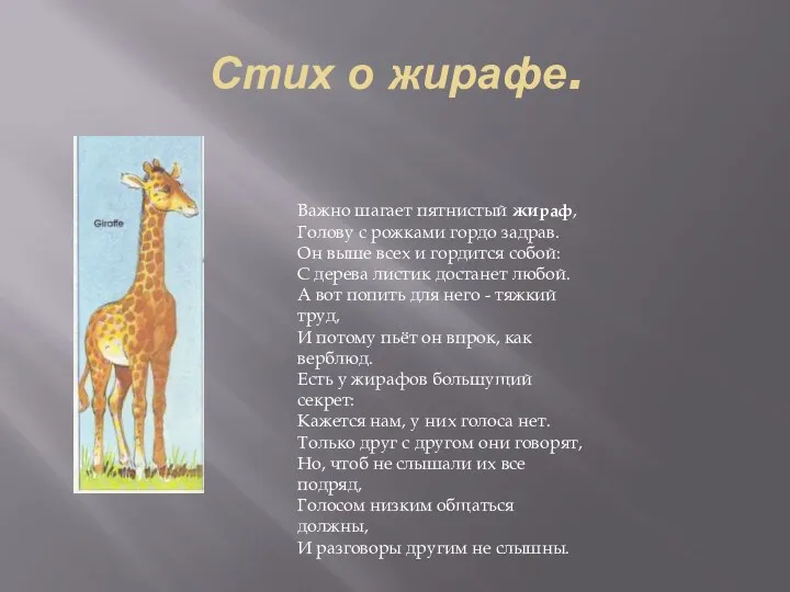 Стих о жирафе. Важно шагает пятнистый жираф, Голову с рожками гордо задрав. Он
