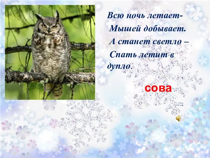 сова Всю ночь летает- Мышей добывает. А станет светло – Спать летит в дупло.