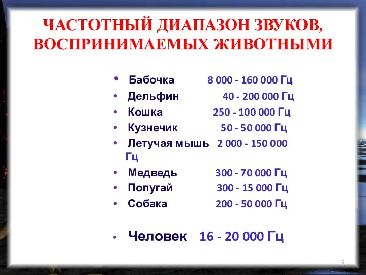 ЧАСТОТНЫЙ ДИАПАЗОН ЗВУКОВ, ВОСПРИНИМАЕМЫХ ЖИВОТНЫМИ Бабочка 8 000 - 160