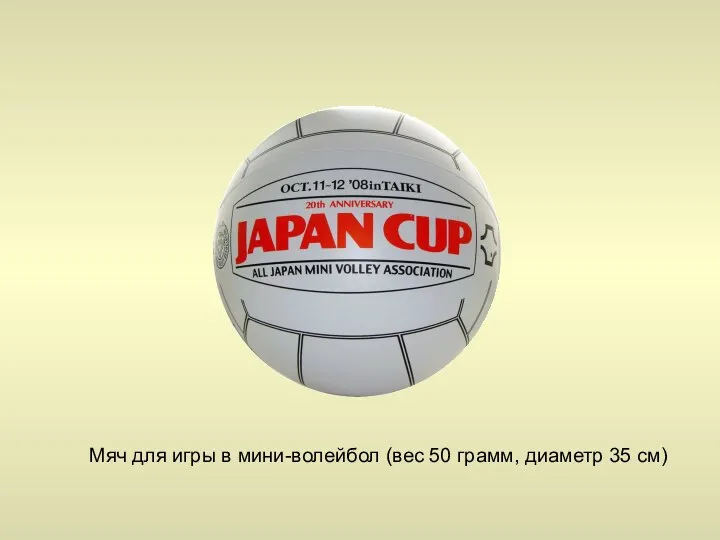Мяч для игры в мини-волейбол (вес 50 грамм, диаметр 35 см)