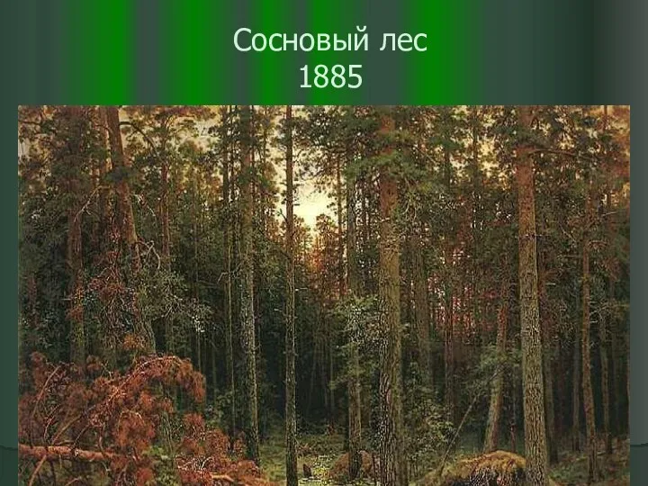 Сосновый лес 1885