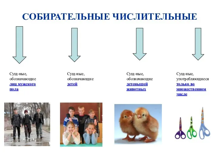 СОБИРАТЕЛЬНЫЕ ЧИСЛИТЕЛЬНЫЕ Сущ-ные, обозначающие лиц мужского пола Сущ-ные, обозначающие детей