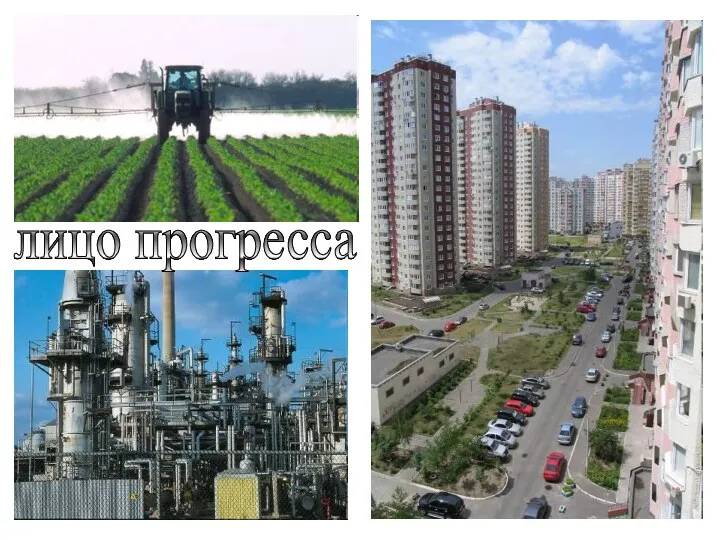 лицо прогресса