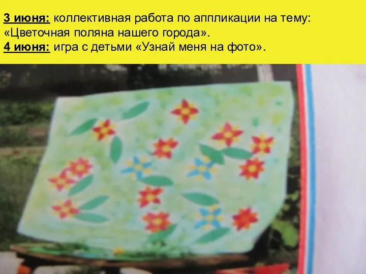 3 июня: коллективная работа по аппликации на тему: «Цветочная поляна