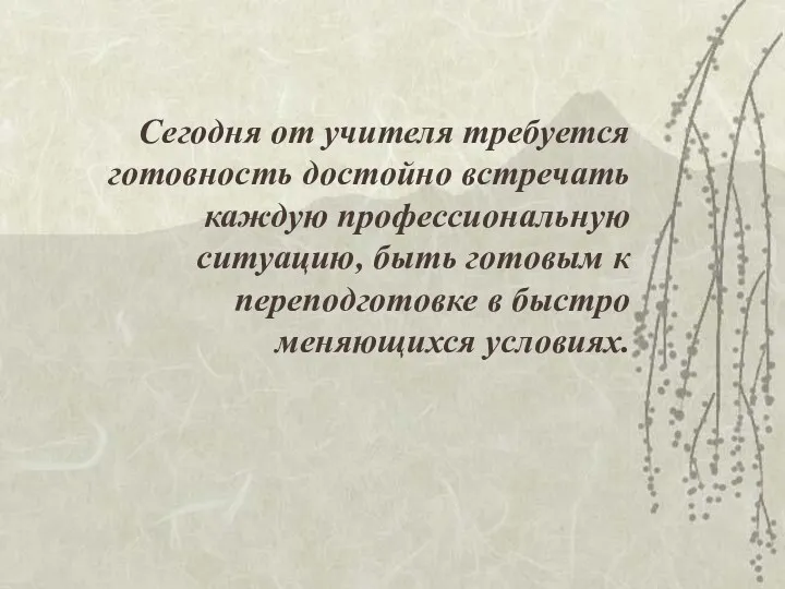 Сегодня от учителя требуется готовность достойно встречать каждую профессиональную ситуацию,