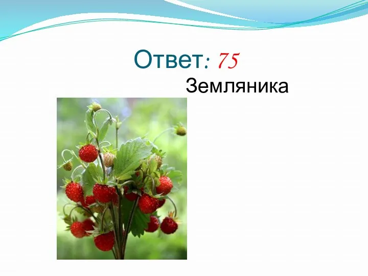 Ответ: 75 Земляника