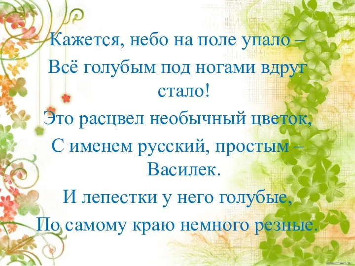 Кажется, небо на поле упало – Всё голубым под ногами