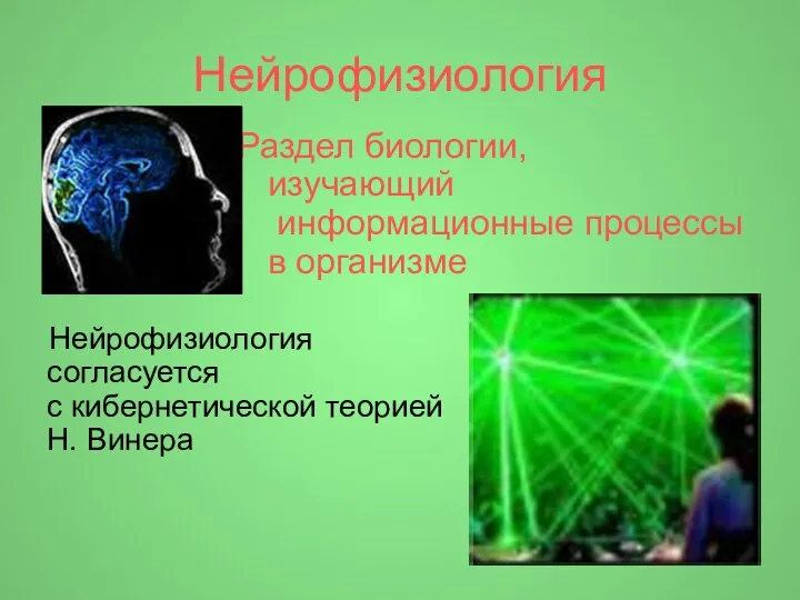 Нейрофизиология Раздел биологии, изучающий информационные процессы в организме Нейрофизиология согласуется с кибернетической теорией Н. Винера