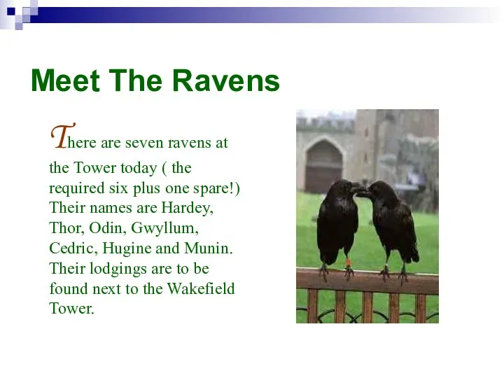 Meet The Ravens There are seven ravens at the Tower