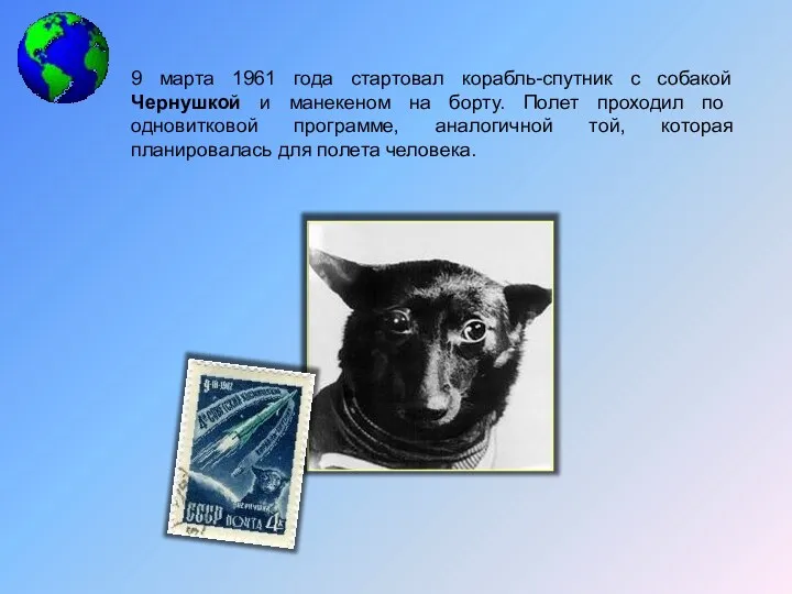 9 марта 1961 года стартовал корабль-спутник с собакой Чернушкой и
