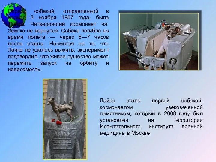 Первой собакой, отправленной в космос 3 ноября 1957 года, была