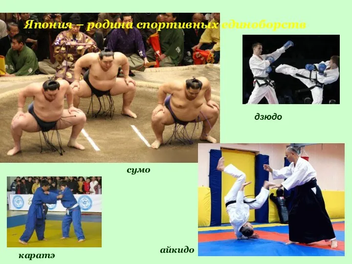 Япония – родина спортивных единоборств дзюдо айкидо каратэ сумо