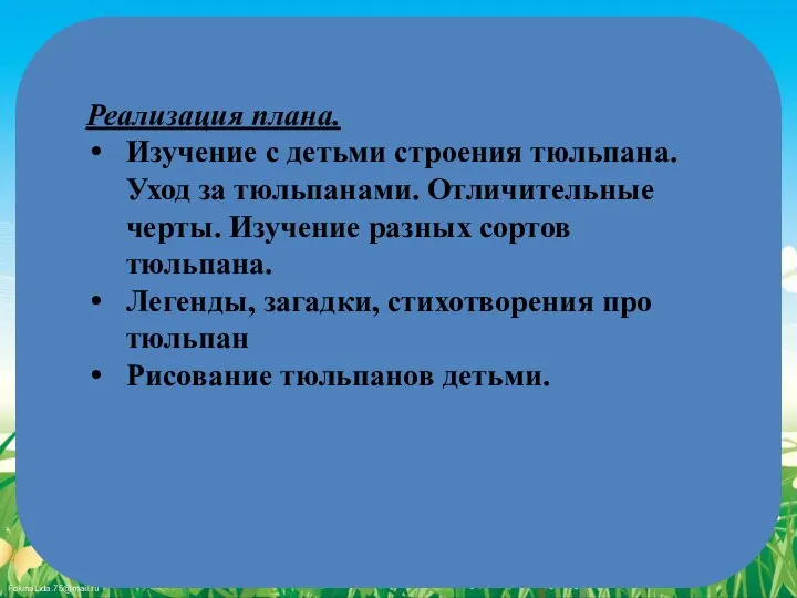 Реализация плана. Изучение с детьми строения тюльпана. Уход за тюльпанами.