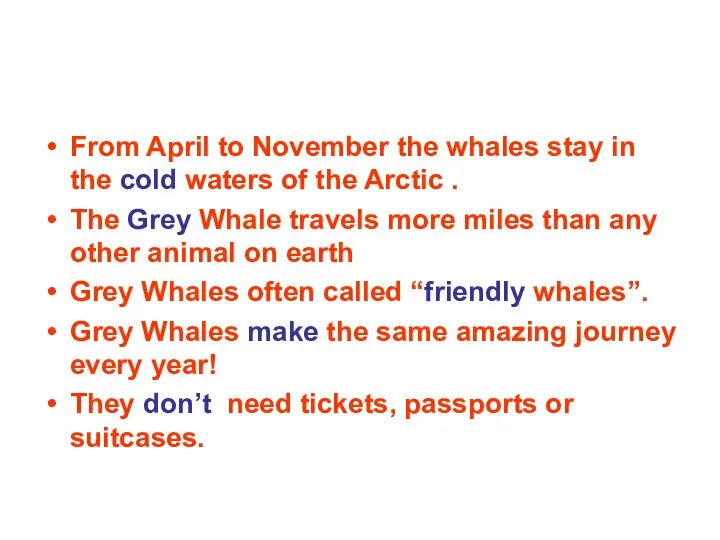 From April to November the whales stay in the cold