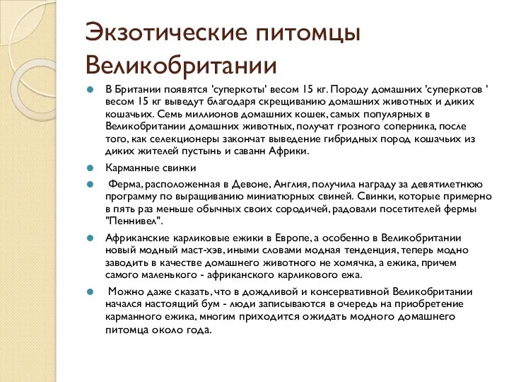 Экзотические питомцы Великобритании В Британии появятся 'суперкоты' весом 15 кг.