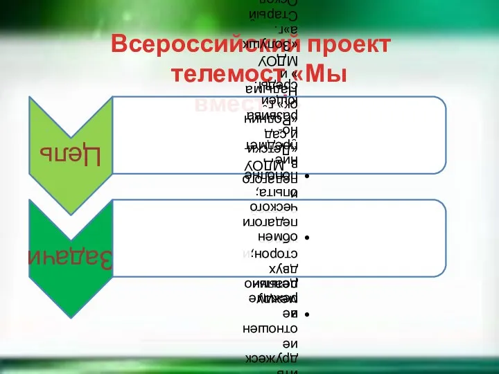 Всероссийский проект телемост «Мы вместе!»