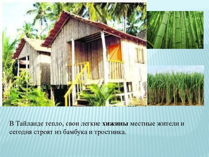 В Тайланде тепло, свои легкие хижины местные жители и сегодня строят из бамбука и тростника.
