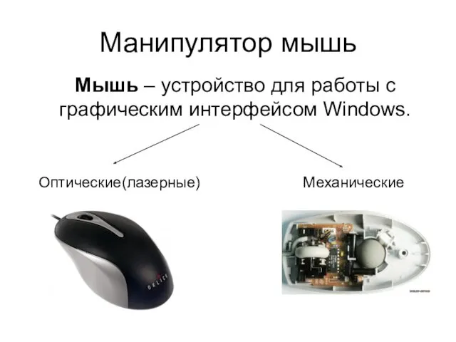 Манипулятор мышь Мышь – устройство для работы с графическим интерфейсом Windows. Оптические(лазерные) Механические