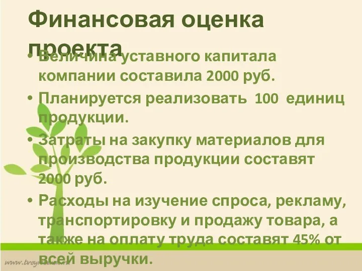 Финансовая оценка проекта Величина уставного капитала компании составила 2000 руб.