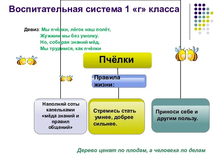 Воспитательная система 1 «г» класса Наполняй соты капельками «мёда знаний