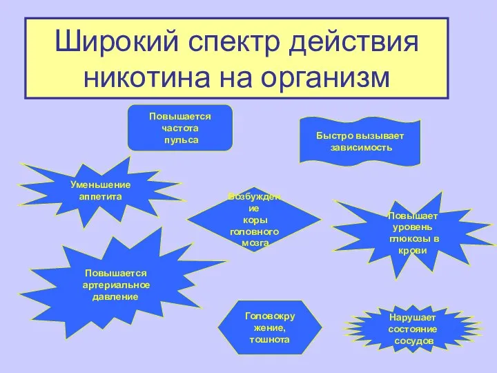 Широкий спектр действия никотина на организм Повышается частота пульса Возбуждение коры головного мозга