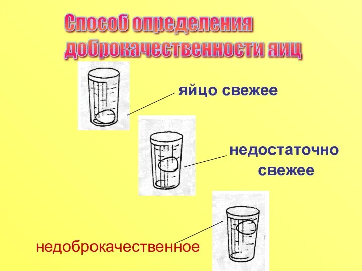 яйцо свежее недостаточно свежее недоброкачественное Способ определения доброкачественности яиц