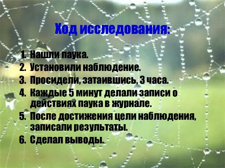 Ход исследования: Нашли паука. Установили наблюдение. Просидели, затаившись, 3 часа.