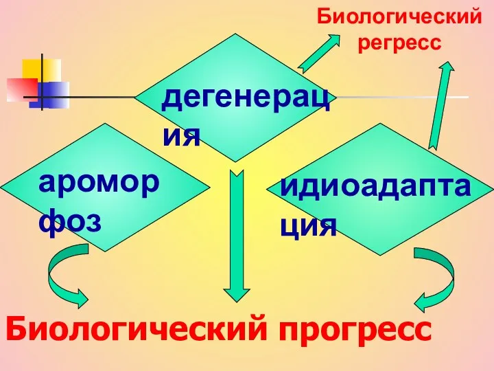 Биологический прогресс ароморфоз идиоадаптация дегенерация Биологический регресс