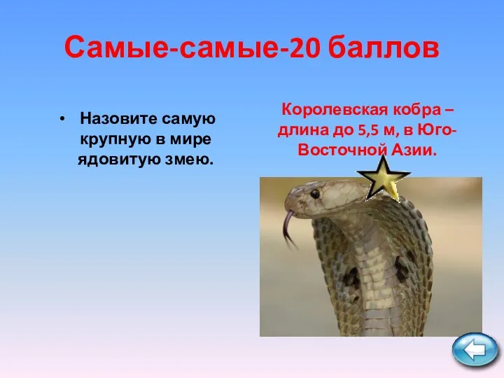 Самые-самые-20 баллов Назовите самую крупную в мире ядовитую змею. Королевская кобра – длина