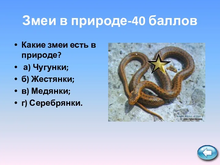Змеи в природе-40 баллов Какие змеи есть в природе? а) Чугунки; б) Жестянки;