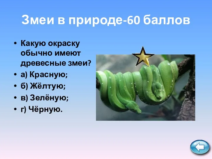 Змеи в природе-60 баллов Какую окраску обычно имеют древесные змеи? а) Красную; б)