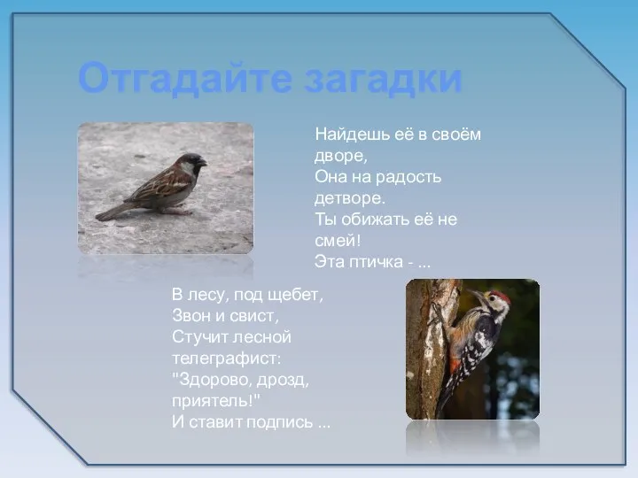 Отгадайте загадки Найдешь её в своём дворе, Она на радость детворе. Ты обижать