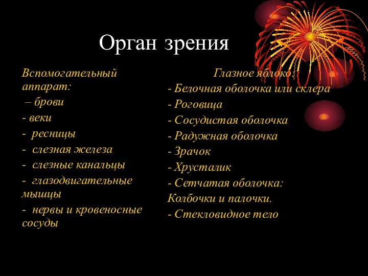 Орган зрения Вспомогательный аппарат: – брови - веки - ресницы - слезная железа