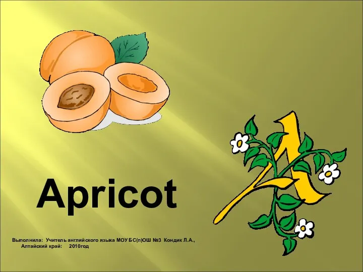 Apricot Выполнила: Учитель английского языка МОУ БС(п)ОШ №3 Кондик Л.А., Алтайский край: 2010год